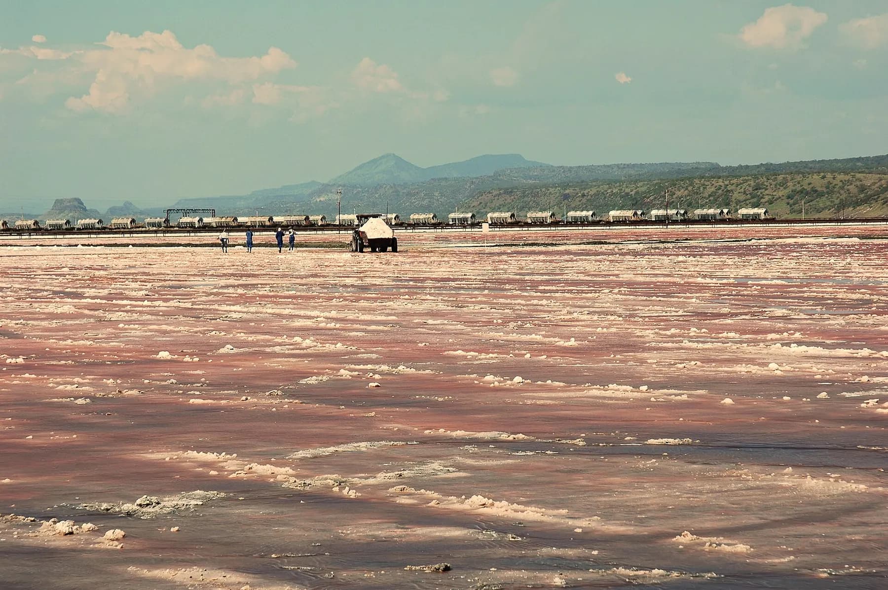 Lake Magadi and the hot springs